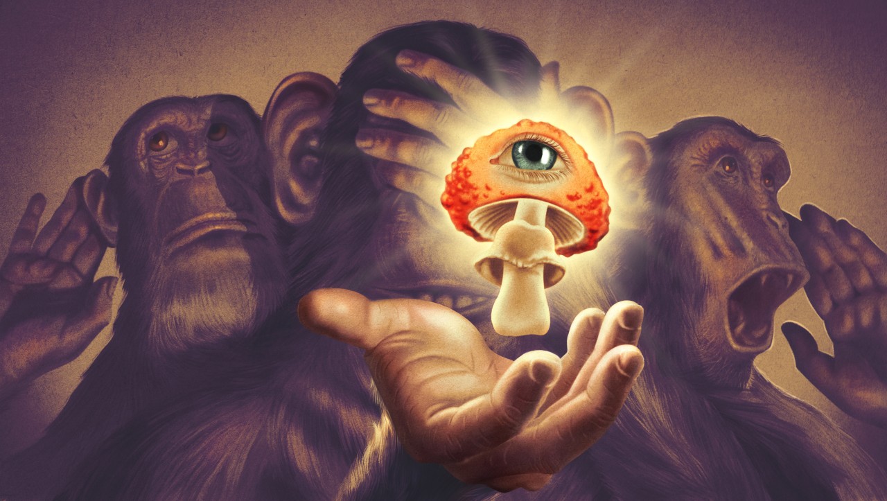 Teoria Stoned Ape 2